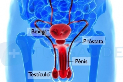 Tudo o que você precisa saber sobre a Próstata